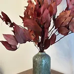 Piazza Ponterosso - The Nest * Trieste