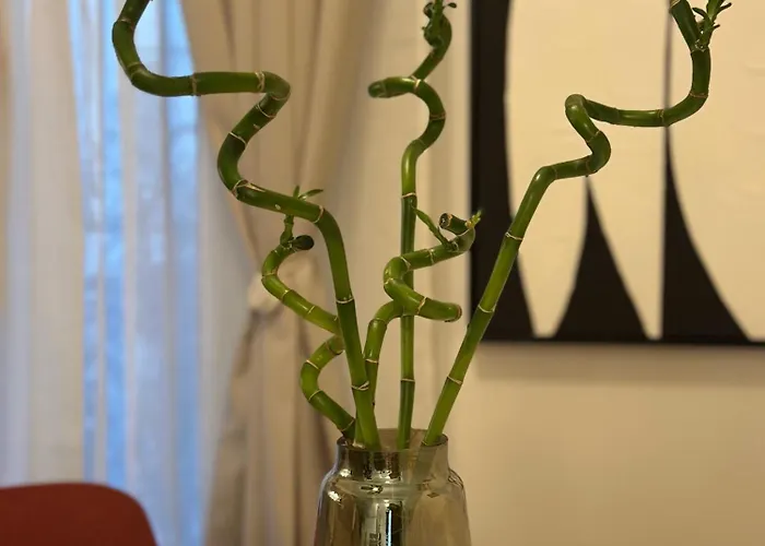 Apartamento Piazza Ponterosso - The Nest